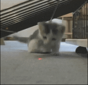katten lampje laser 